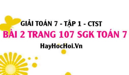 Giải bài 2 trang 107 Toán 7 Tập 1 SGK Chân trời sáng tạo